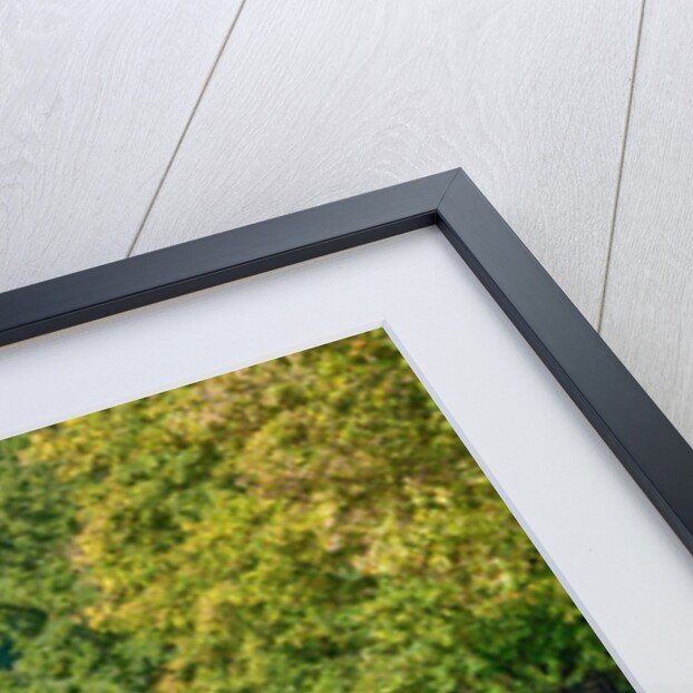 Canal in countryside by Assaf Frank